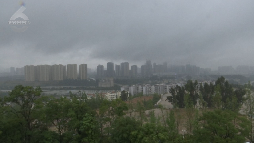 8099999街头巷尾微信