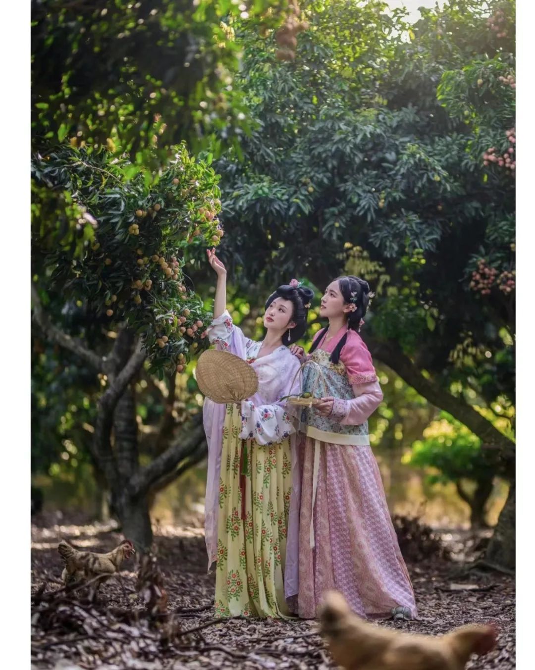 昆明市昙华寺公园