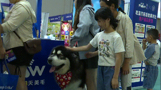 8099999街头巷尾微信