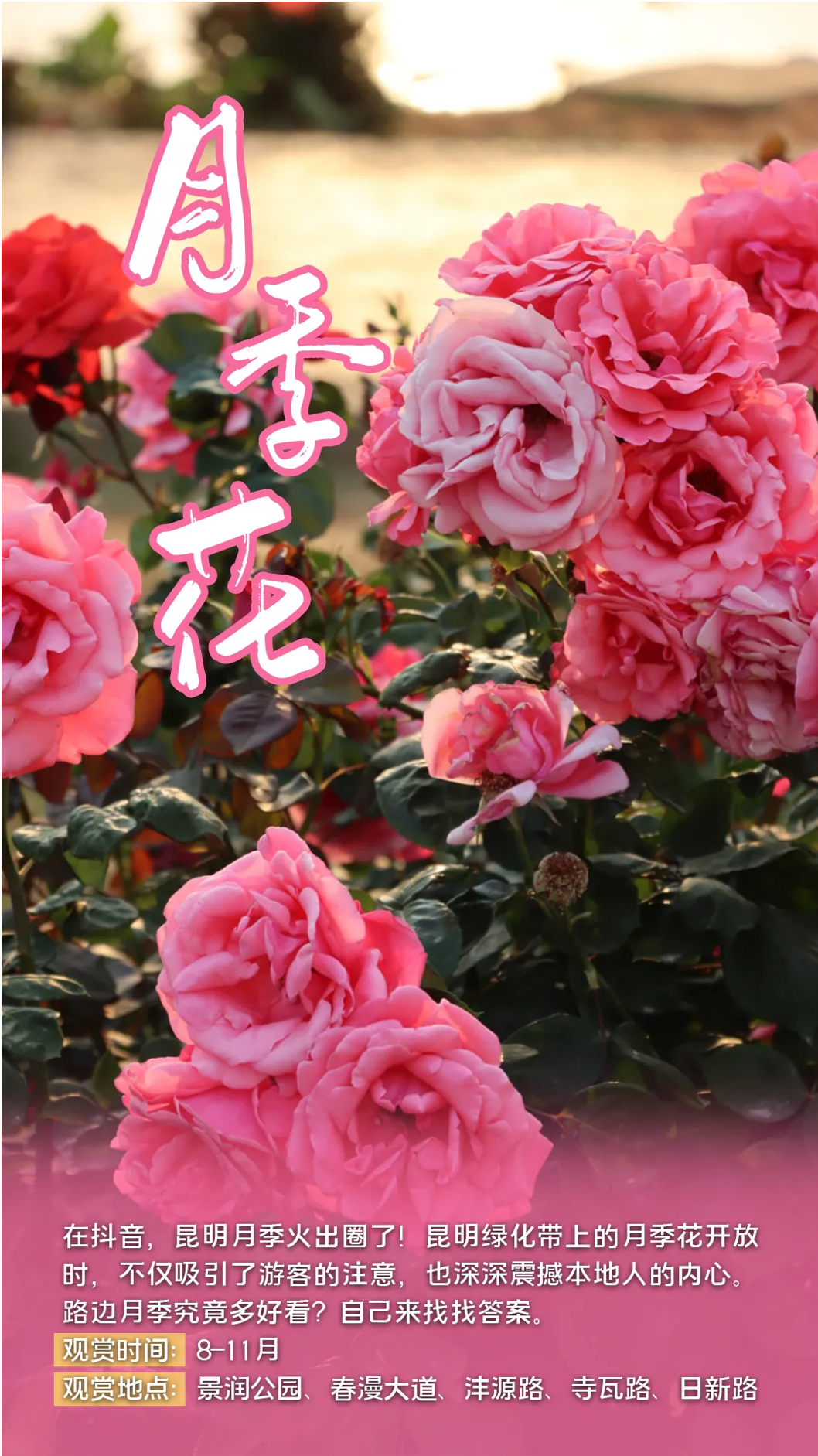 FM105城市生活广播