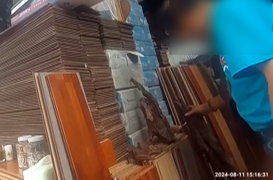 8099999街头巷尾微信