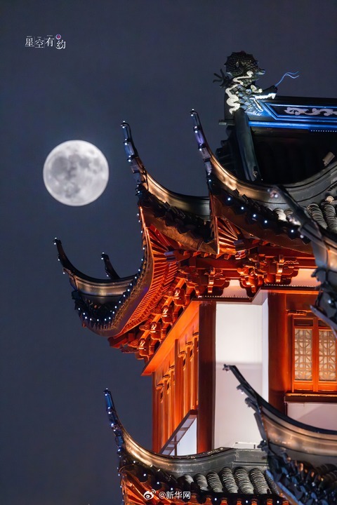 新华网