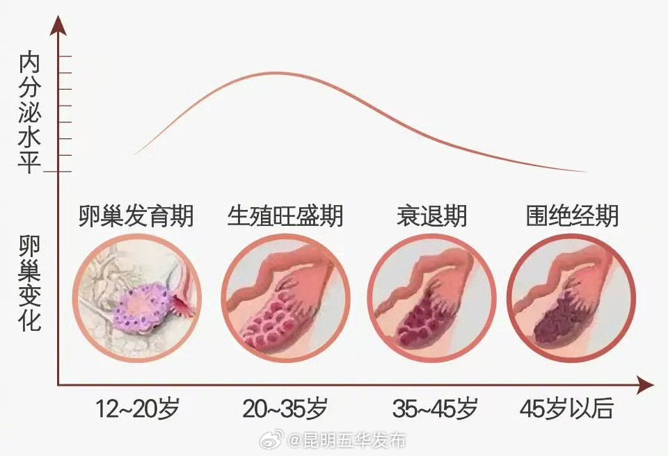 4个身体变化提示卵巢早衰