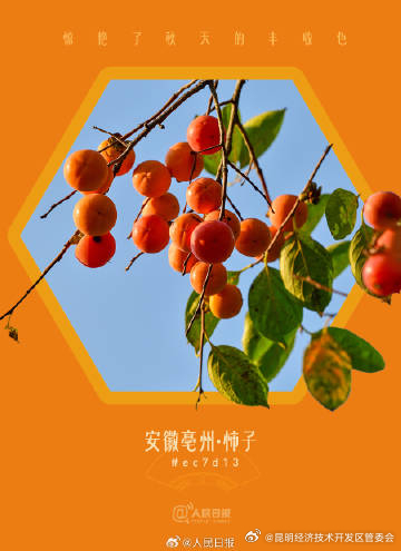 昆明经济技术开发区管委会