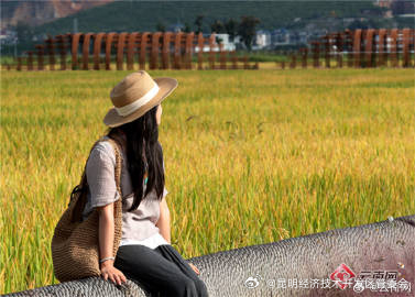 昆明经济技术开发区管委会