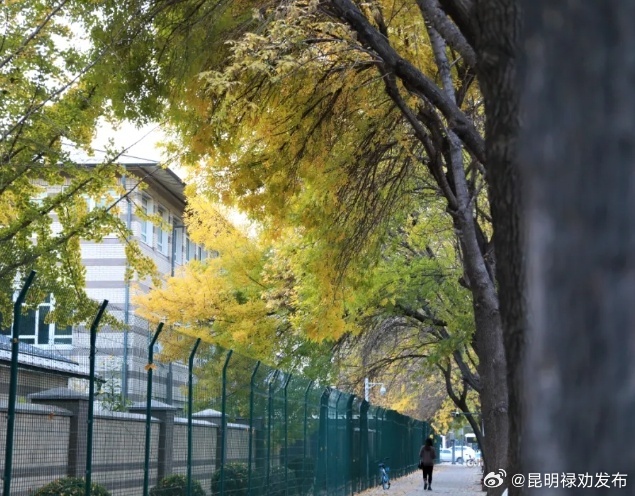 昆明禄劝发布