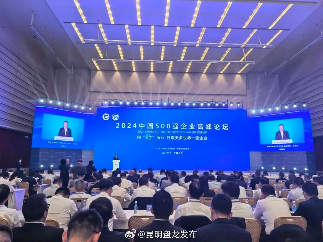 祝贺！位于盘龙的这家企业上榜“2024中国服务业企业500强”