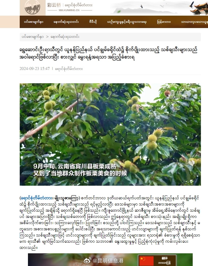 昆明信息港微博