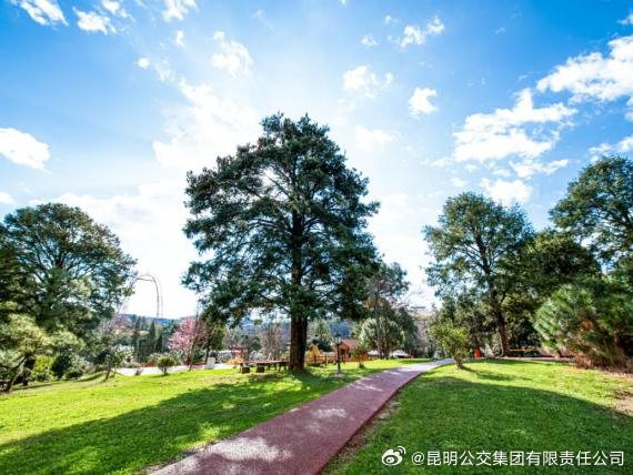 昆明公交集团有限责任公司