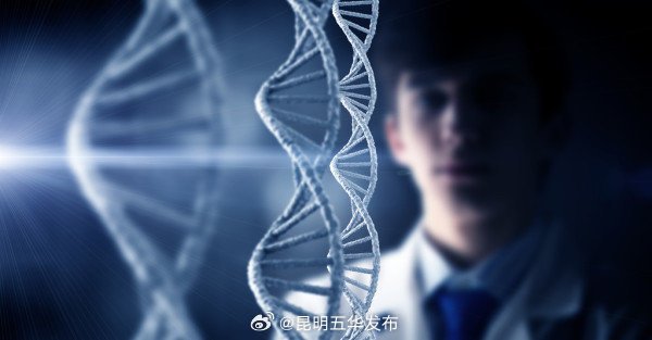 有超雄综合征就有暴力倾向吗