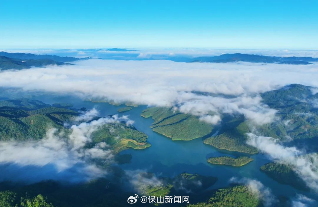 龙陵：逐“绿”前行 以林长制促“林长治”