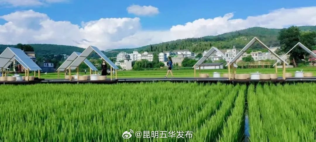昆明五华发布