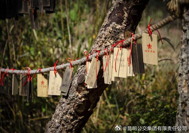 昆明公交集团有限责任公司