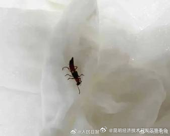 昆明经济技术开发区管委会