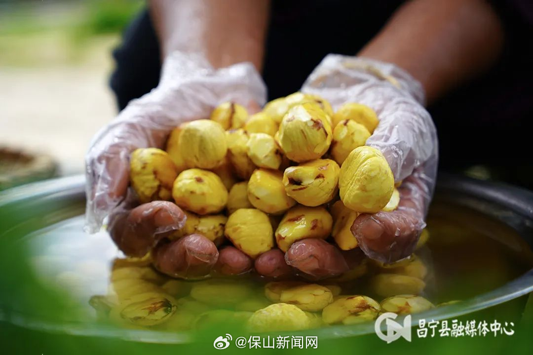 保山新闻网