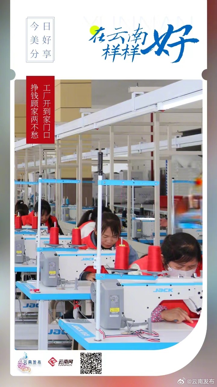 临沧云县：工厂开到家门口