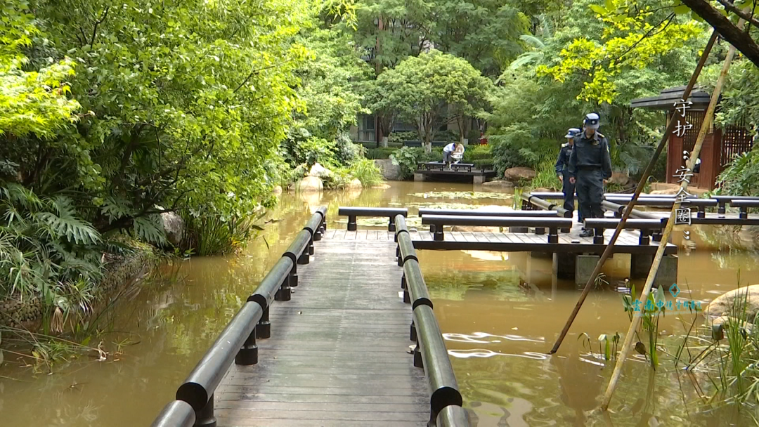 8099999街头巷尾微信