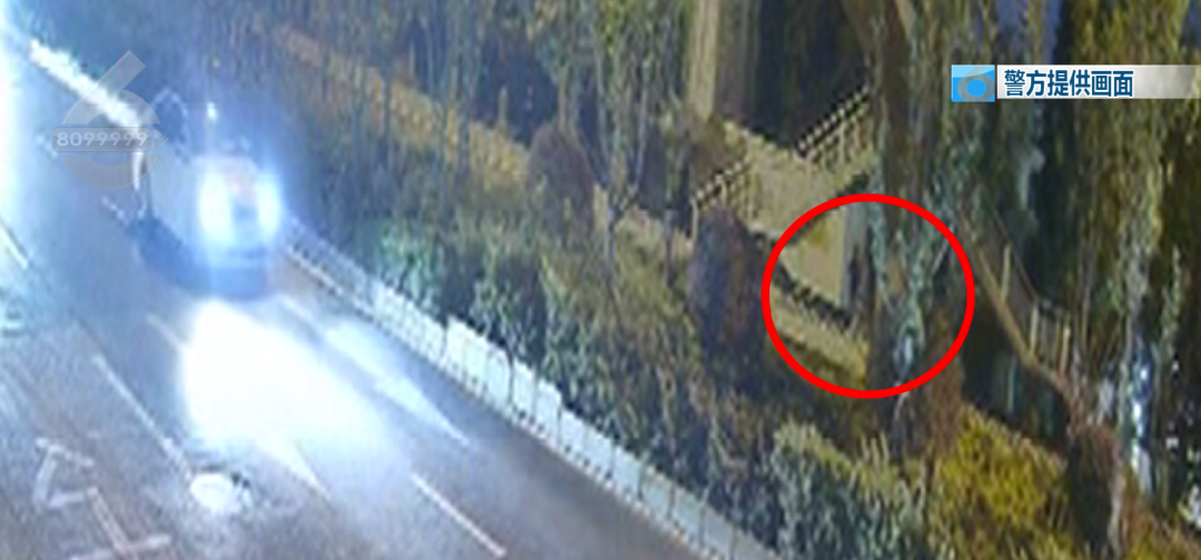 8099999街头巷尾微信