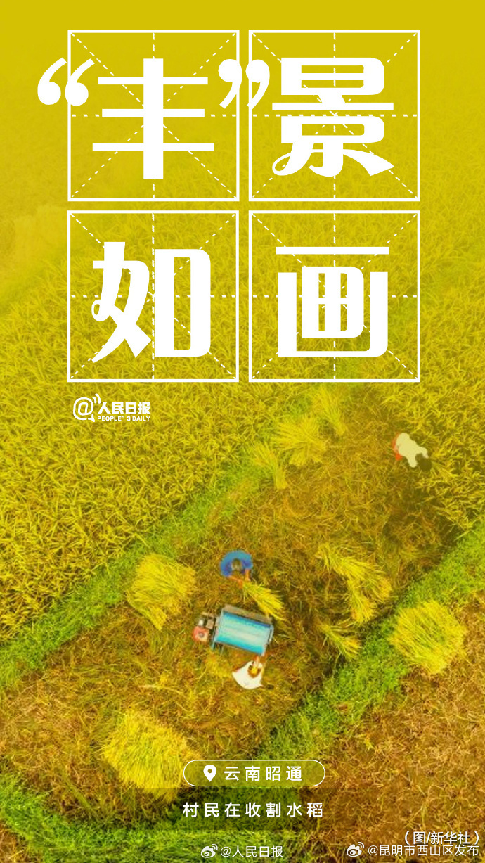 昆明市西山区发布