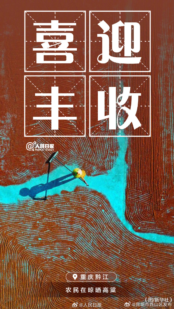 昆明市西山区发布