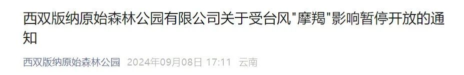 掌上春城微信