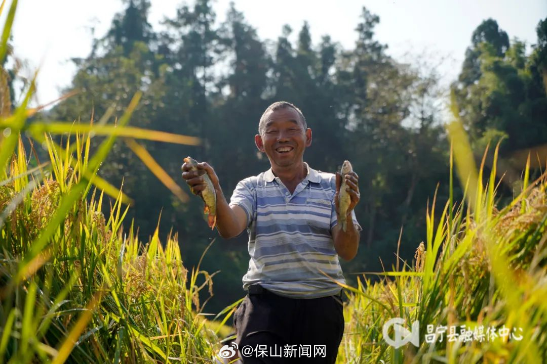 保山新闻网