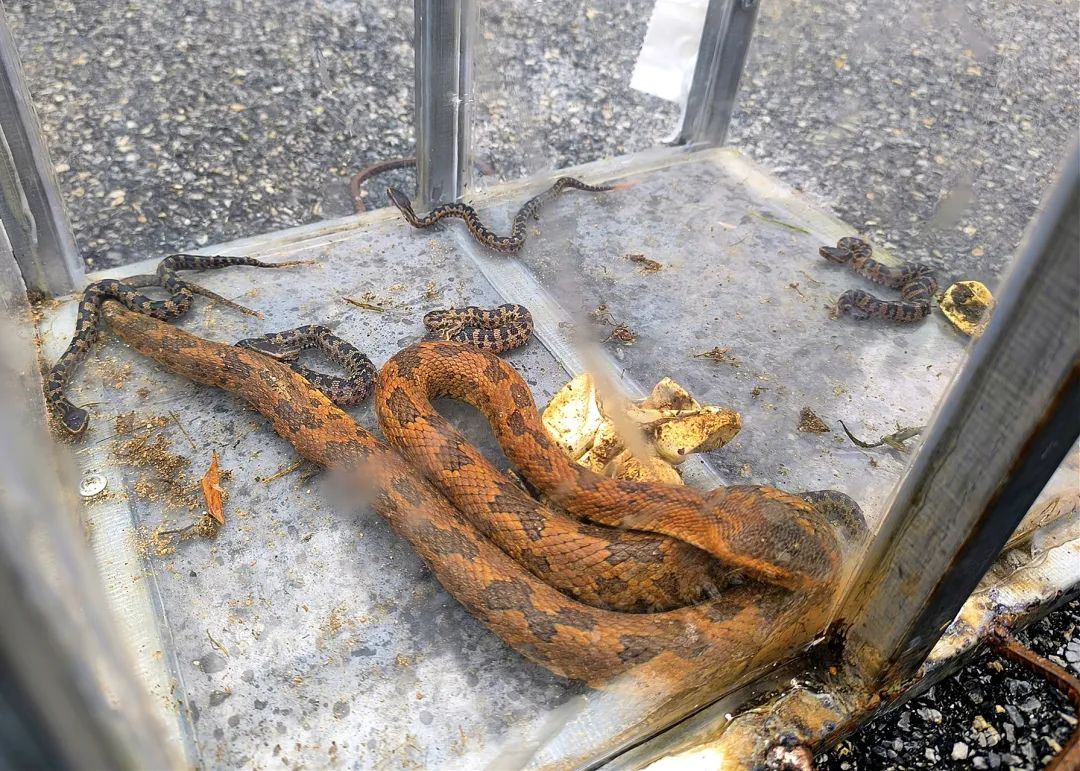 8099999街头巷尾微信