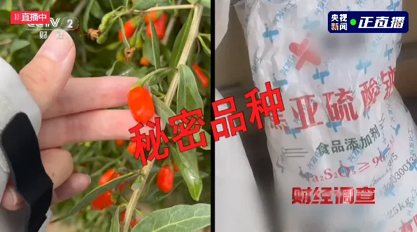 8099999街头巷尾微信