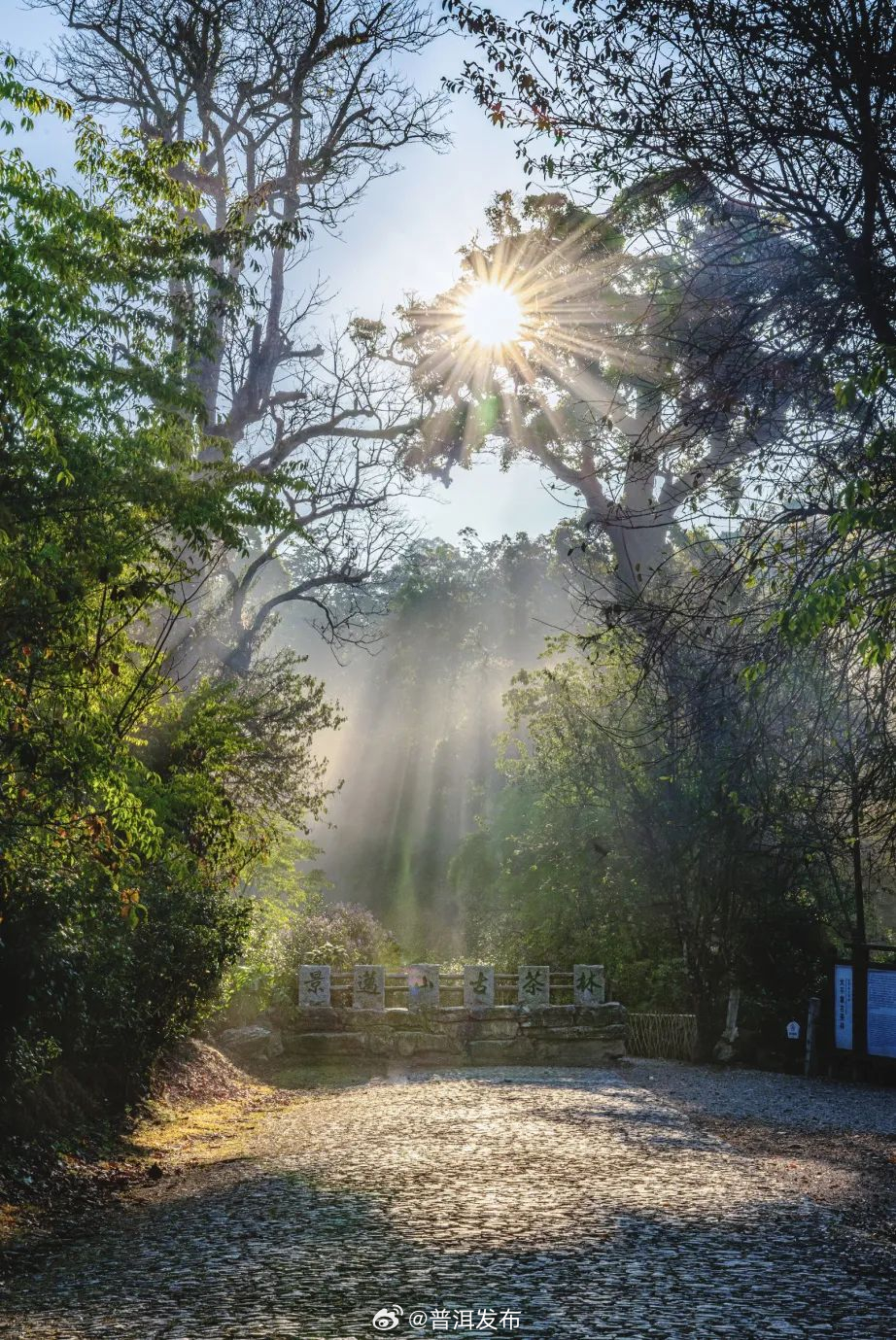 一年之“景”——景迈山申遗成功一周年系列报道（上）