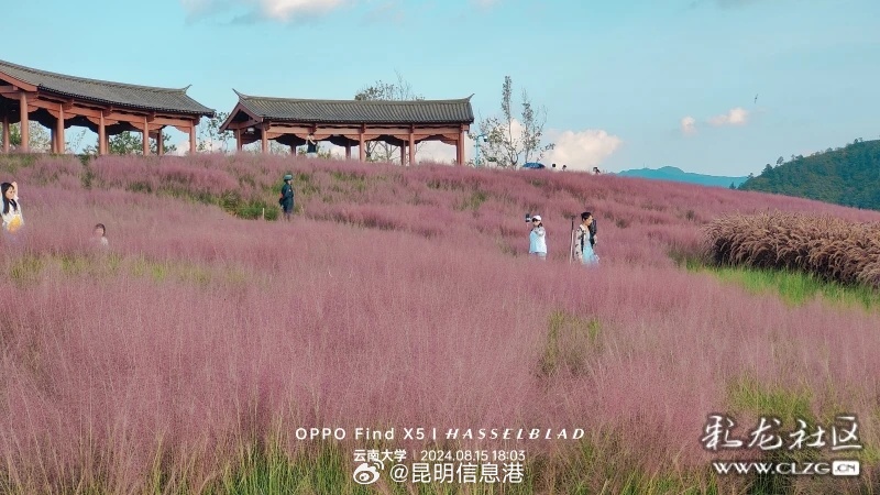 昆明信息港微博