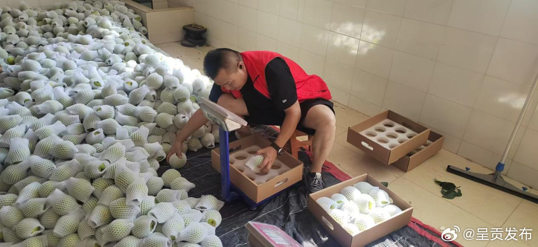 呈贡发布