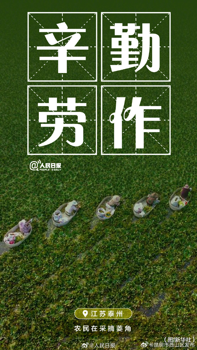 昆明市西山区发布