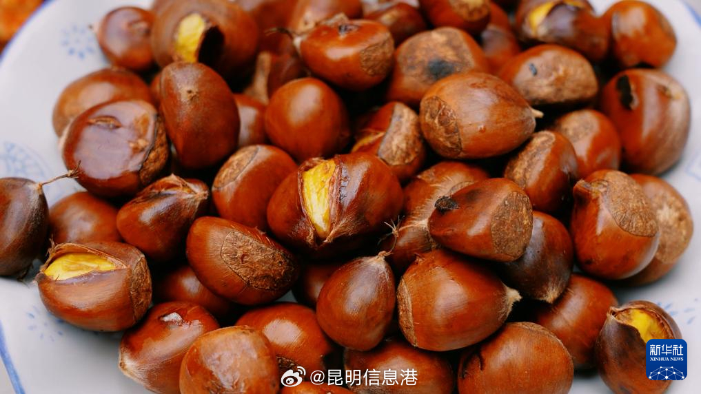 昆明信息港微博