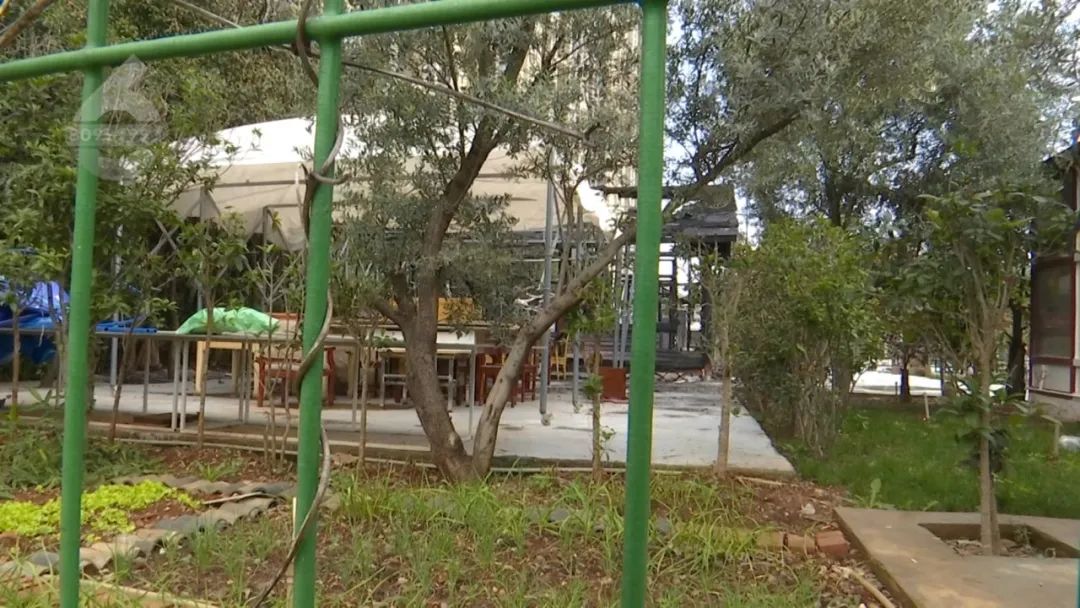 8099999街头巷尾微信