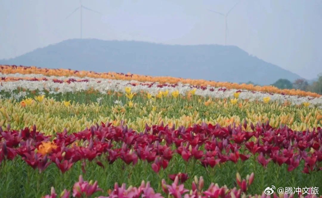 腾冲文旅