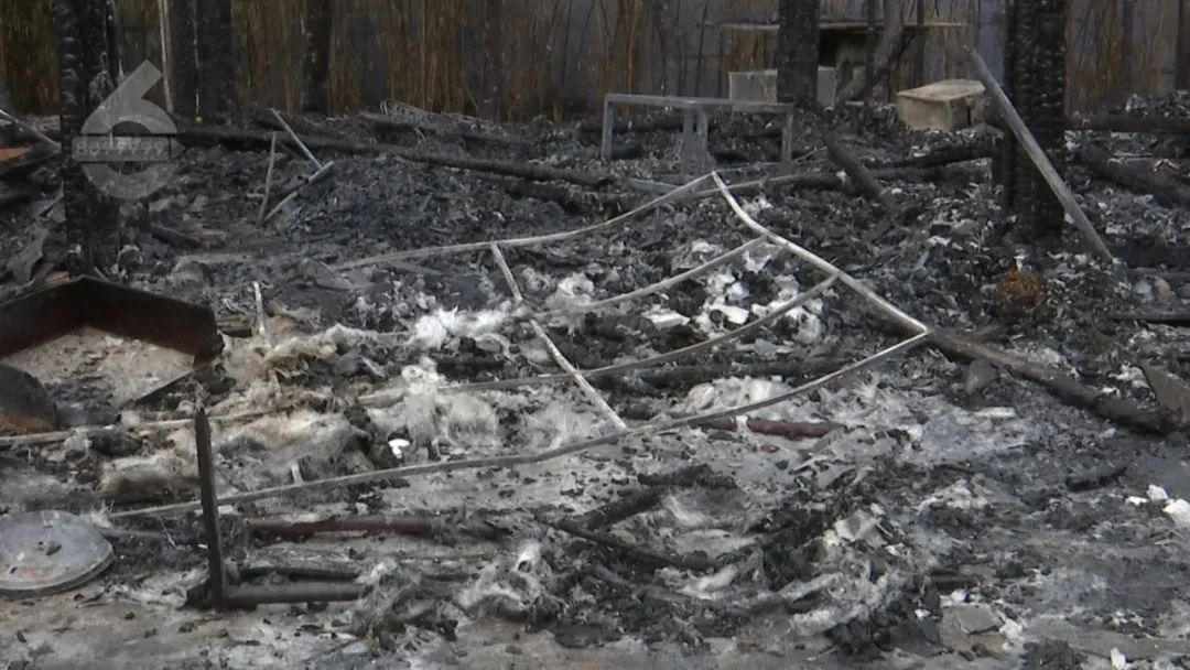 8099999街头巷尾微信