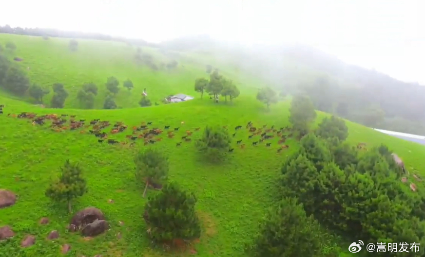 美好生活在云南｜走，去景洪拥抱自由的风！