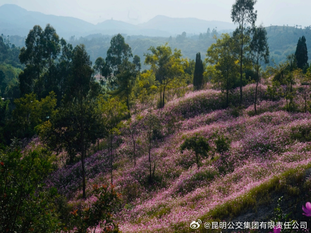 昆明公交集团有限责任公司