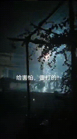 8099999街头巷尾微信