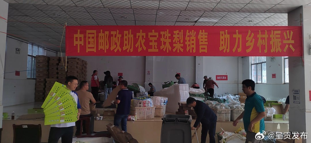 呈贡发布