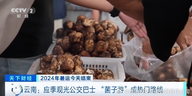 昆明公交集团有限责任公司