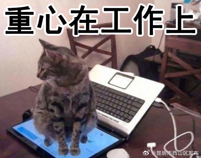 昆明市西山区发布