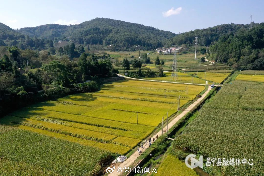 保山新闻网