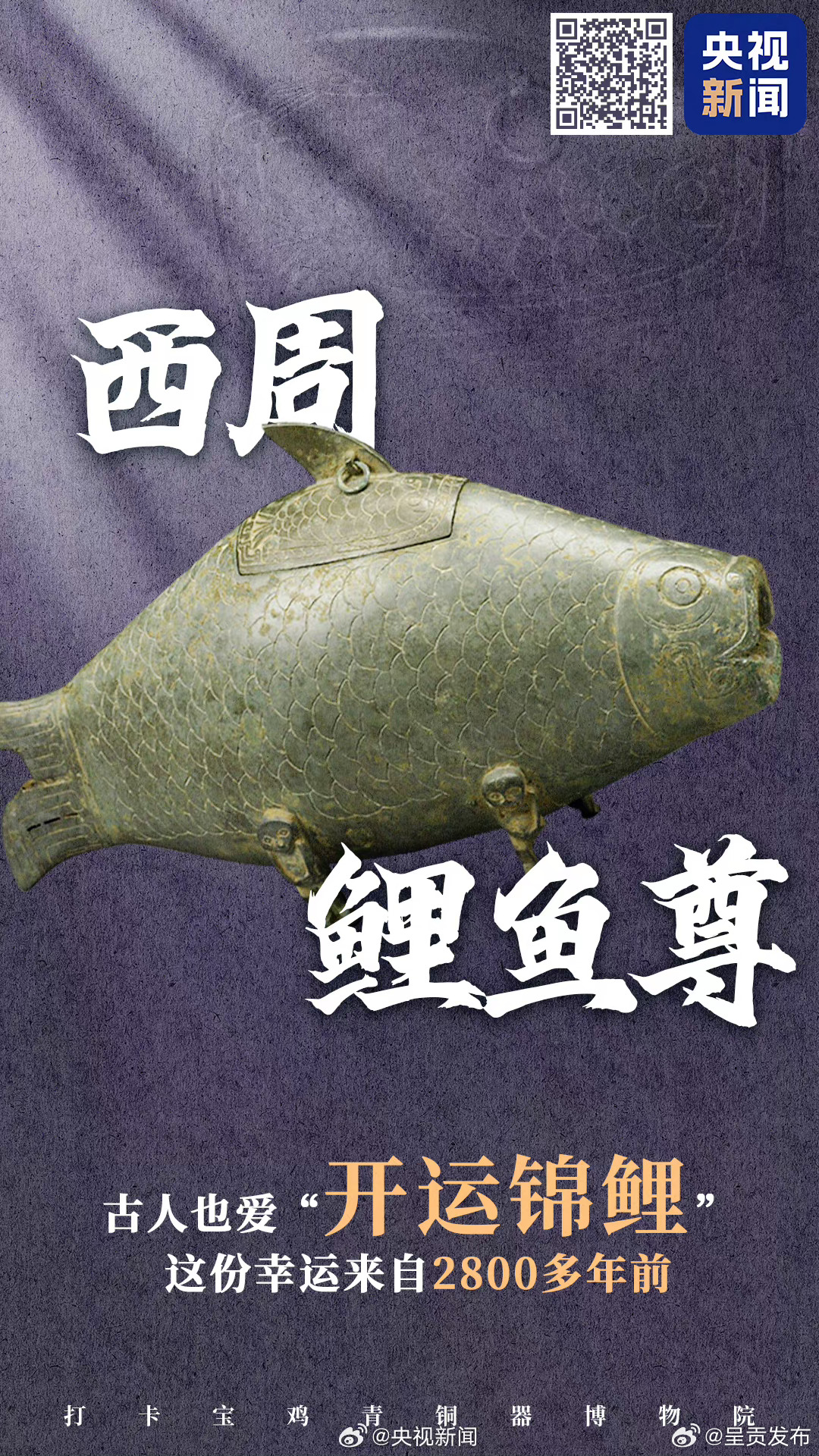 呈贡发布
