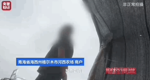 8099999街头巷尾微信