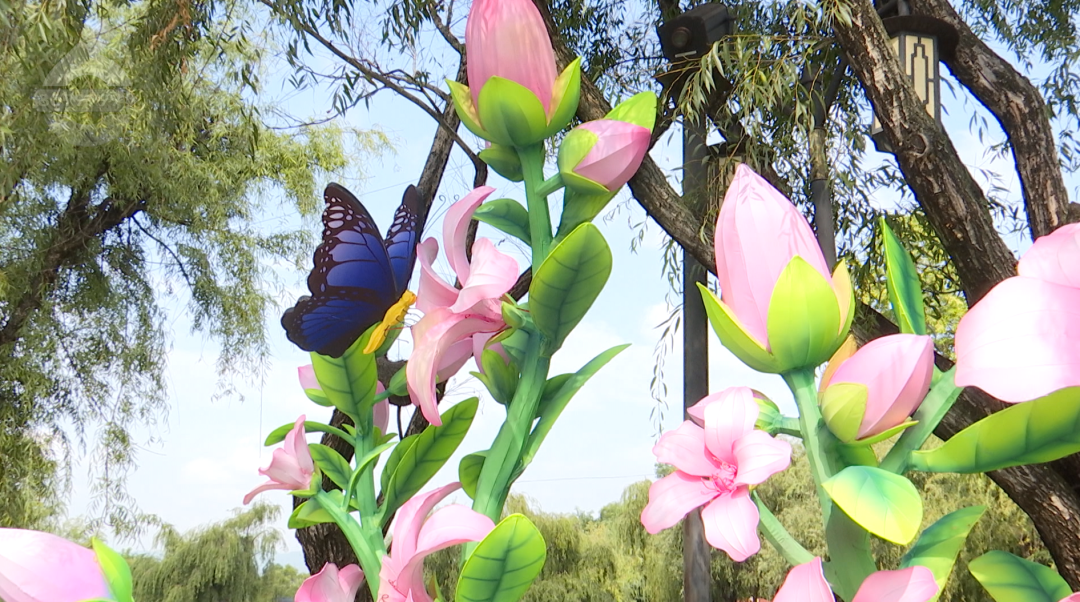 8099999街头巷尾微信