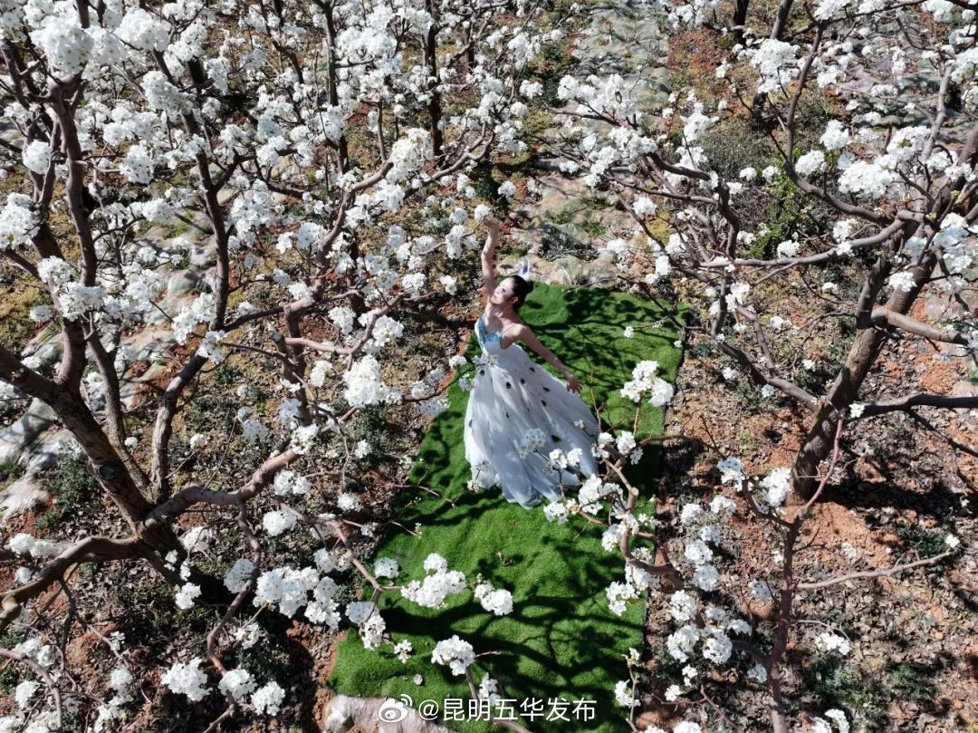 昆明五华发布