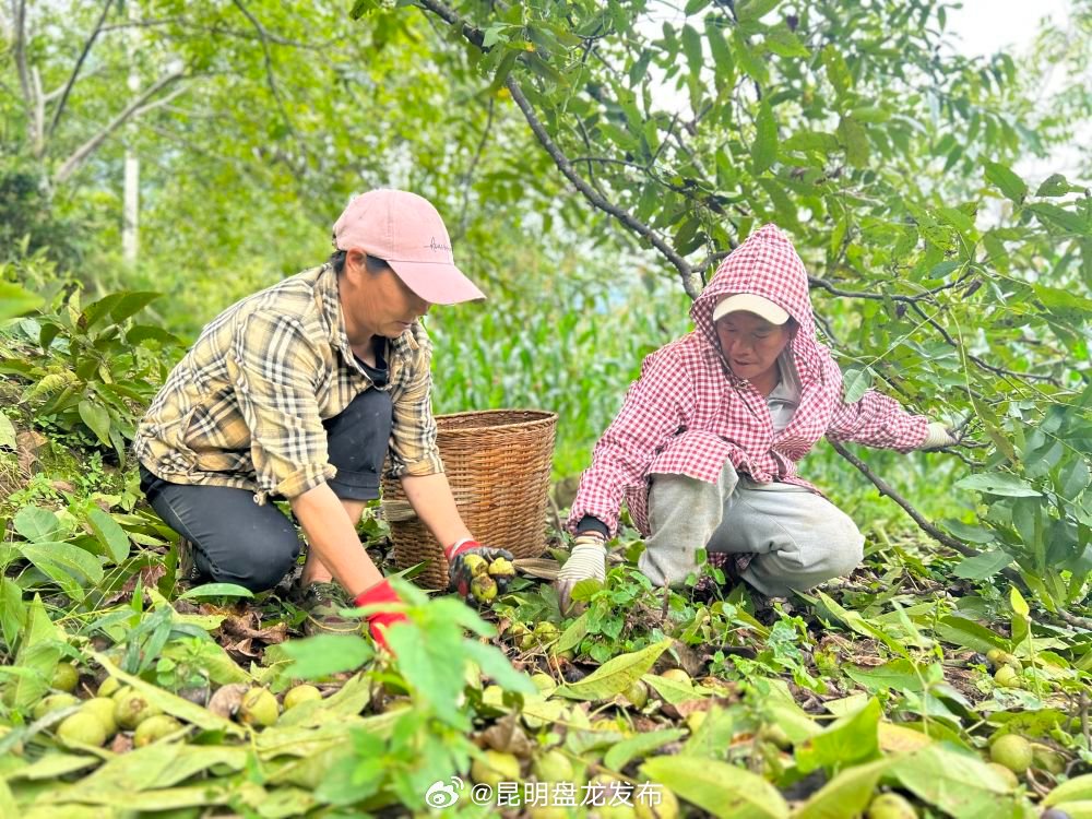 昆明盘龙发布