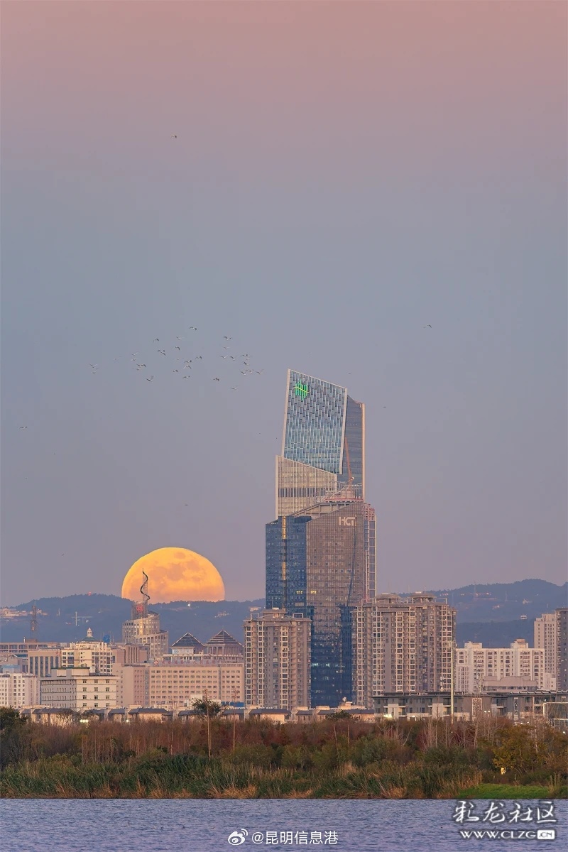 昆明信息港微博