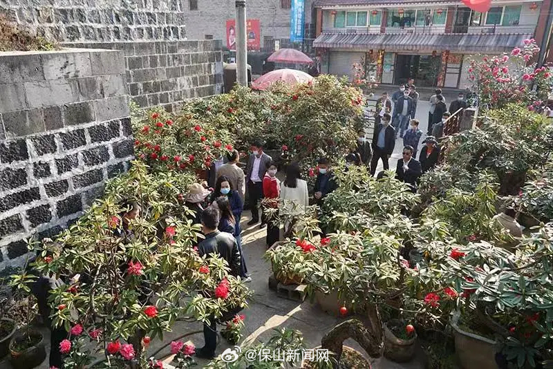 保山新闻网